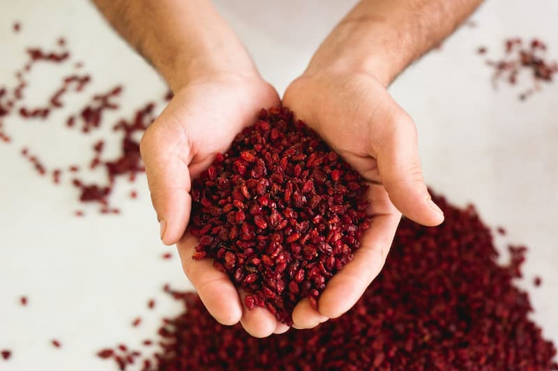 تصویر 3 از زرشک کوهی لرستان با طعم طبیعی و اصیل